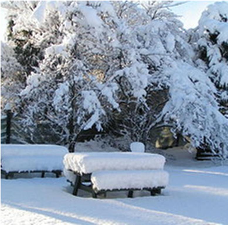 Jack In The Green Garden Rooms Hanmer Springs Exterior foto